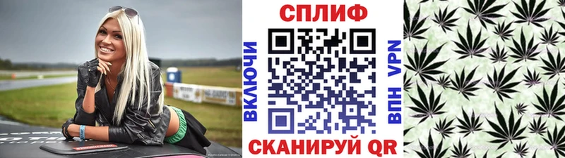Купить закладки  Карабаново  Каннабис ГИДРОПОН 